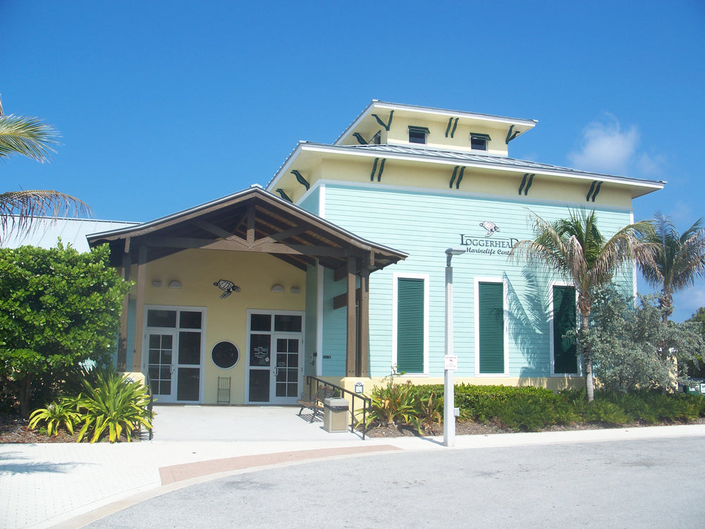 Skeleton Optics & Loggerhead Marinelife Center Partnership